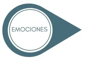 desde el ser 8